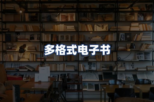 多格式电子书